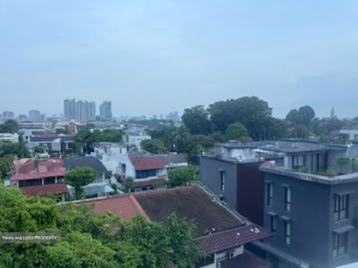 Shelford Regency (D11), Condominium #586771271